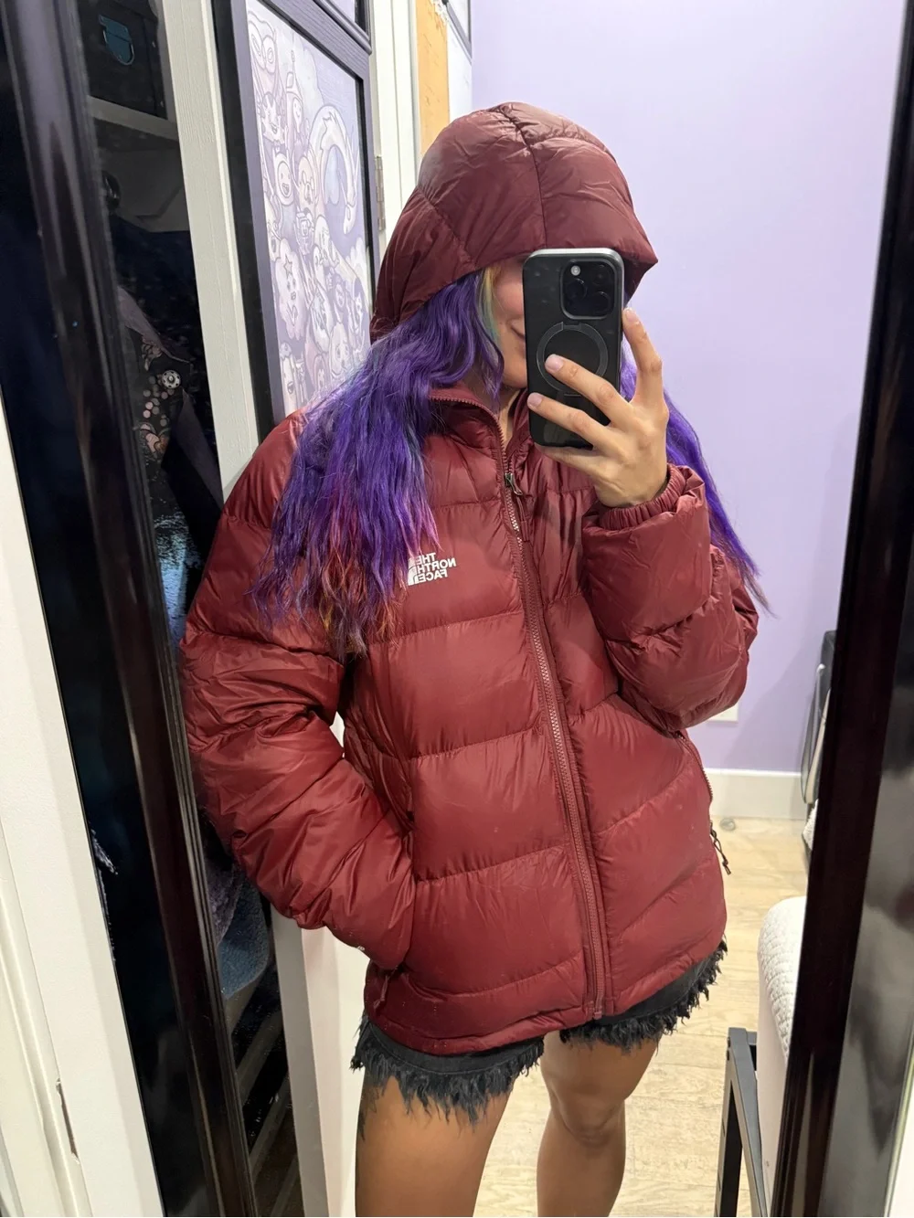 The North Face Men’s Burgundy Hydralite Hooded Puffer Jacket